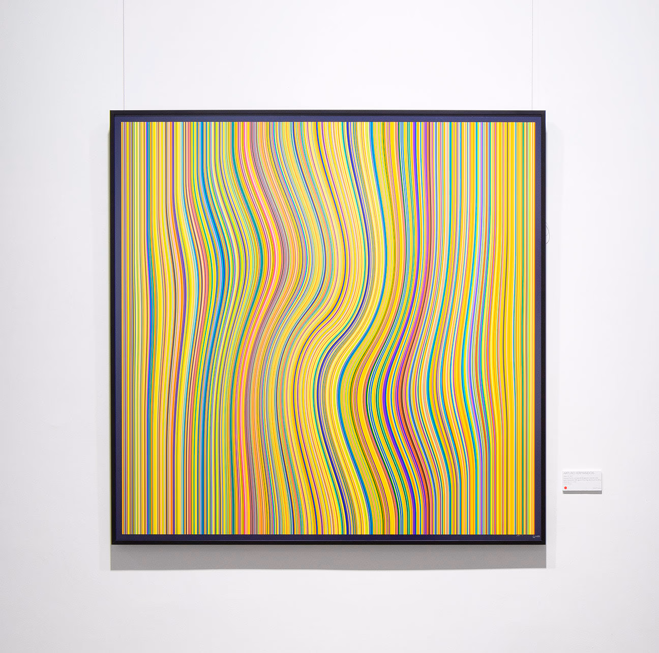 Stripes 05